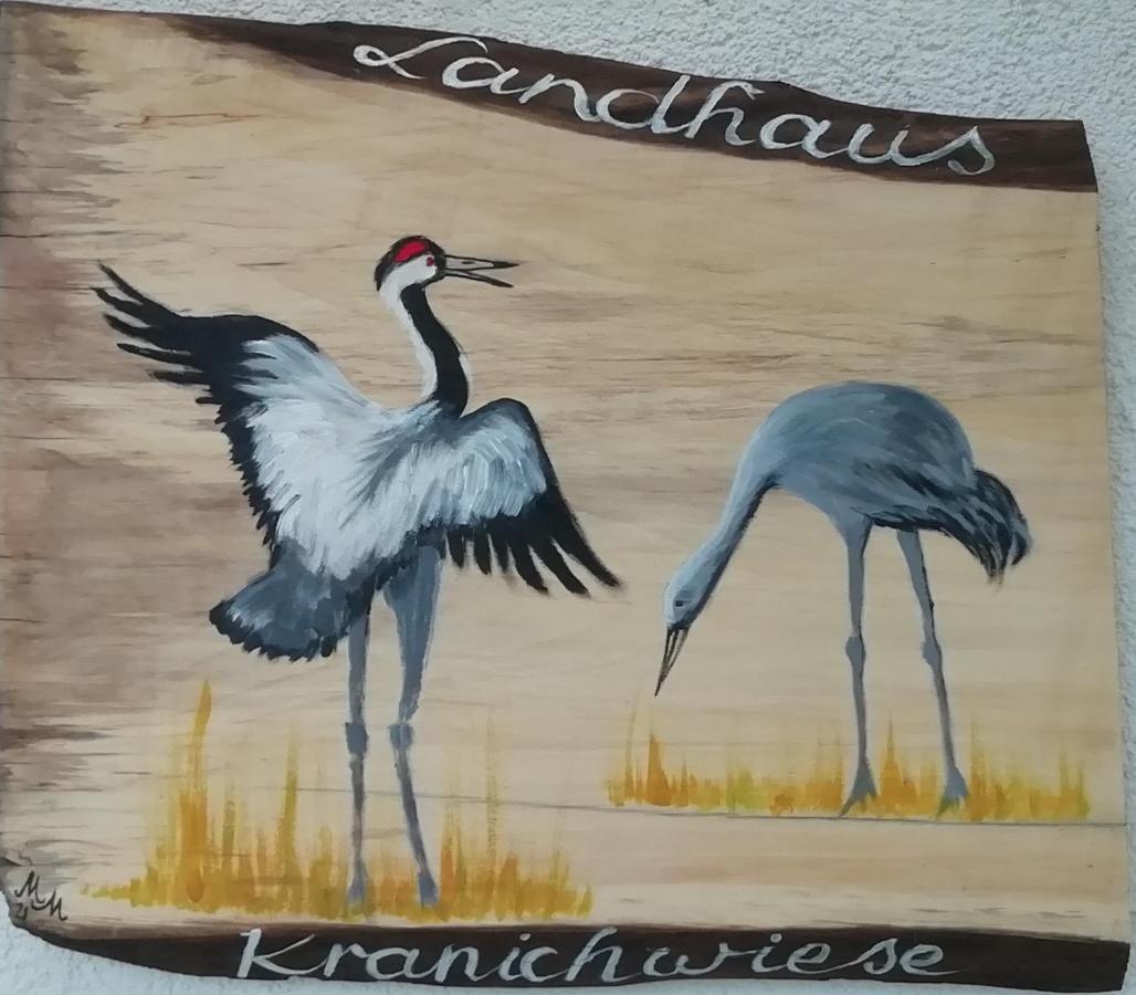 Landhaus Kranichwiese Göhren-Lebbin Buitenkant foto