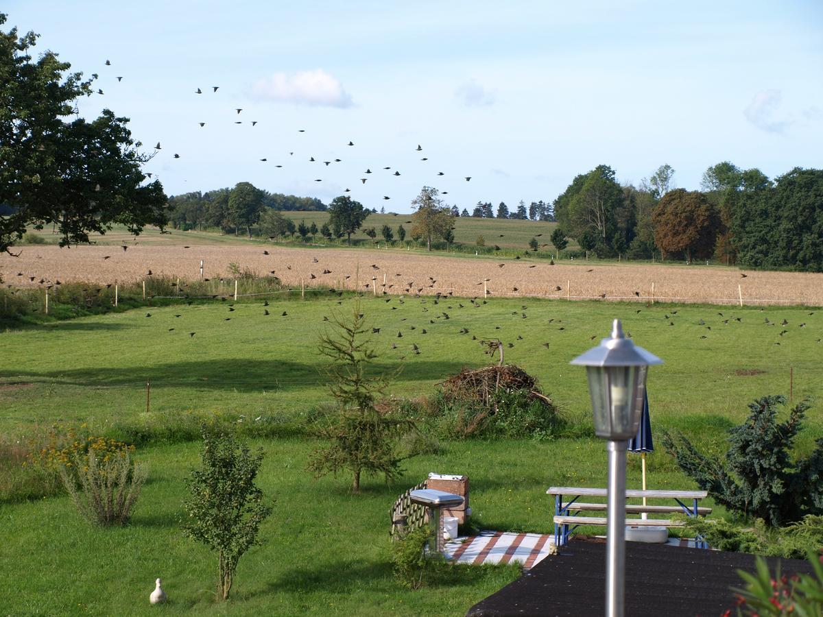 Landhaus Kranichwiese Göhren-Lebbin Buitenkant foto