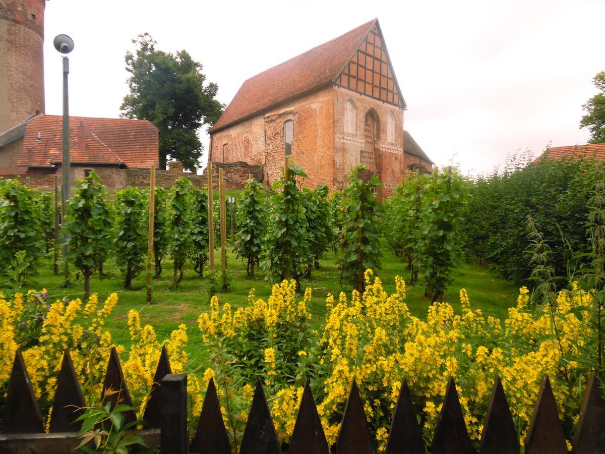 Landhaus Kranichwiese Göhren-Lebbin Buitenkant foto