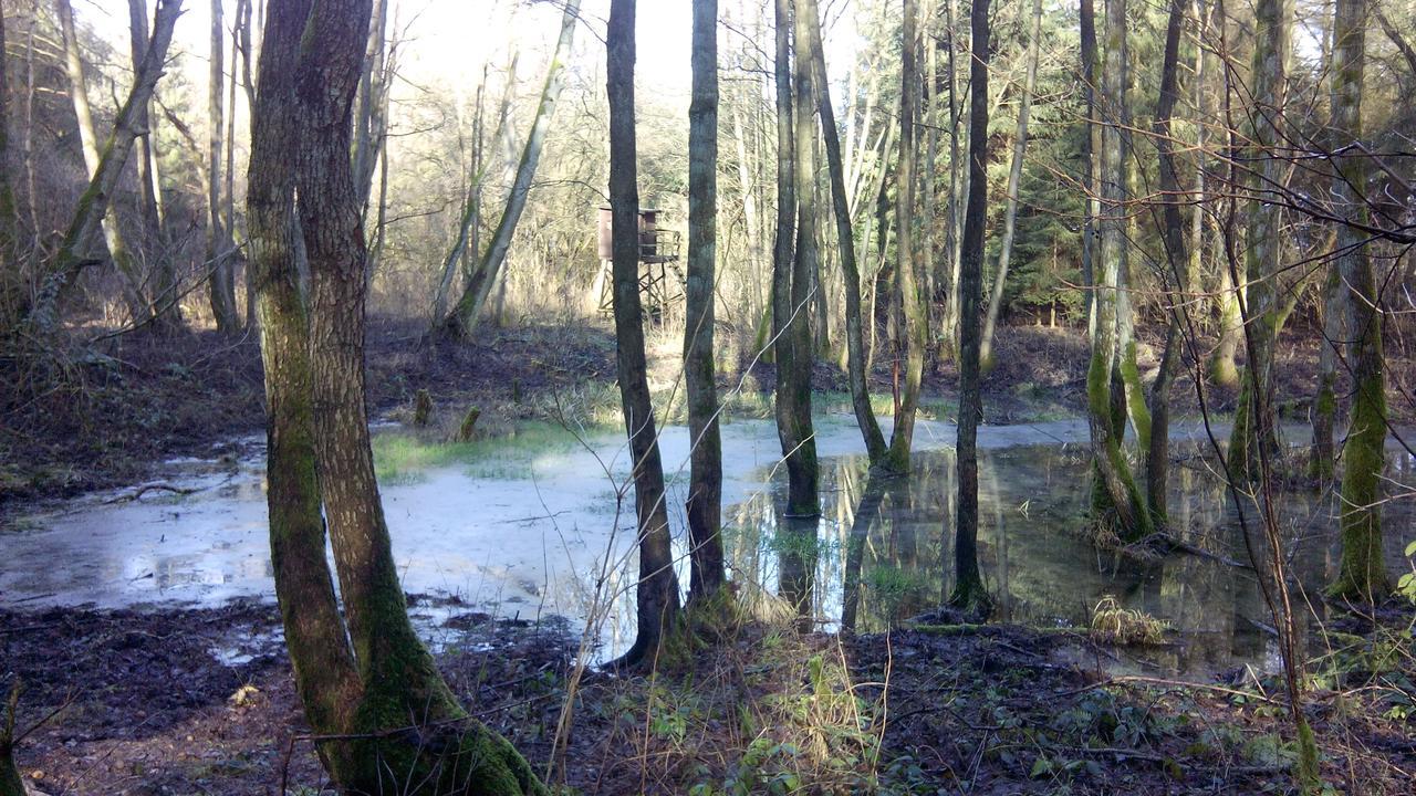 Landhaus Kranichwiese Göhren-Lebbin Buitenkant foto