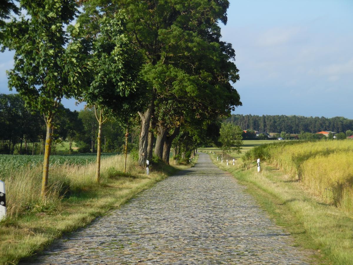 Landhaus Kranichwiese Göhren-Lebbin Buitenkant foto